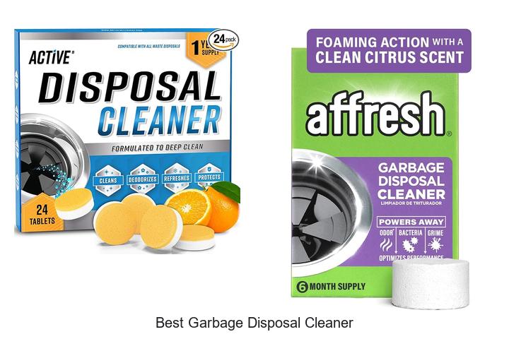 best garbage disposal cleaner