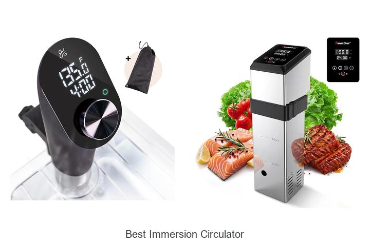 best immersion circulator