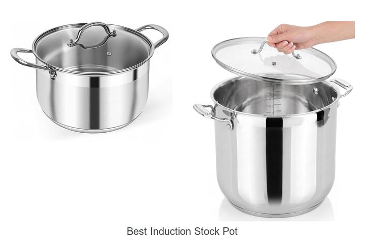 best induction stock pot