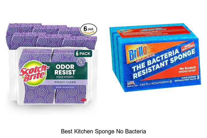 best kitchen sponge no bacteria