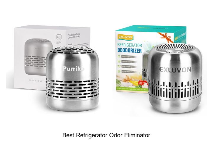 best refrigerator odor eliminator