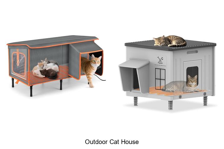 outdoor cat house